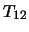 $ T_{12}$