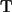 \mathbb{T}