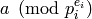 a\pmod{p_i^{e_i}}