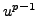 $ u^{p-1}$
