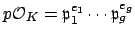 $ p\O _K=\mathfrak{p}_1^{e_1}\cdots \mathfrak{p}_g^{e_g}$