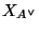 $ X_{A^{\vee}}$