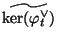 $ \widetilde{\ker(\varphi ^{\vee}_t)}$