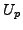 $ \{f(q), f(q^p)\}$