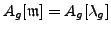 $ A_g[\mathfrak{m}] \subset A_g[\lambda_g]$